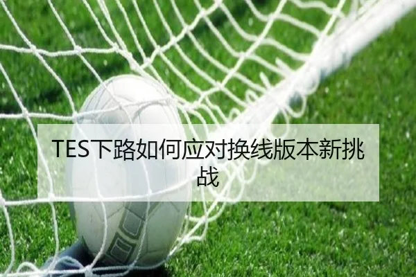 TES下路如何应对换线版本新挑战