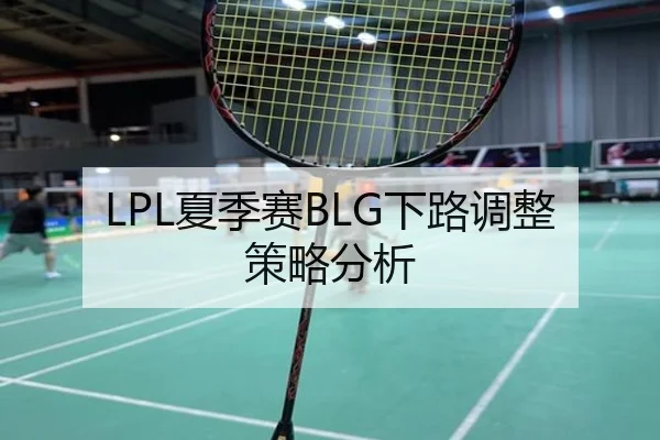 LPL夏季赛BLG下路调整策略分析 - Kaiyun